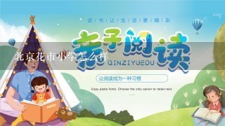 北京花市小学怎么样 北京花市小学怎么样