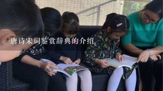 唐诗宋词鉴赏辞典的介绍 唐诗宋词鉴赏辞典的介绍
